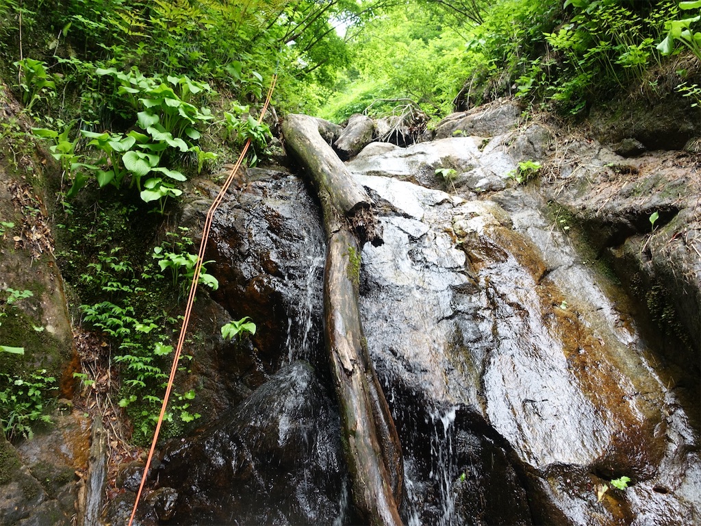 f:id:Kakuremino:20230613020742j:image f:id:Kakuremino:20230613020742j:image