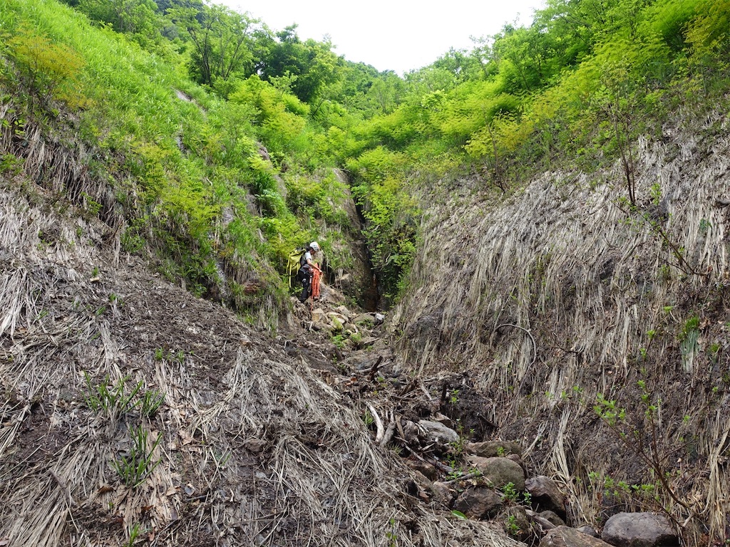 f:id:Kakuremino:20230613020745j:image f:id:Kakuremino:20230613020745j:image