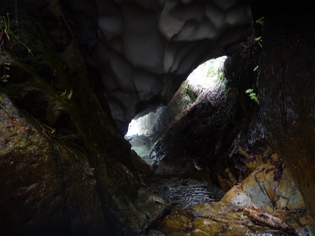 f:id:Kakuremino:20230613020748j:image f:id:Kakuremino:20230613020748j:image