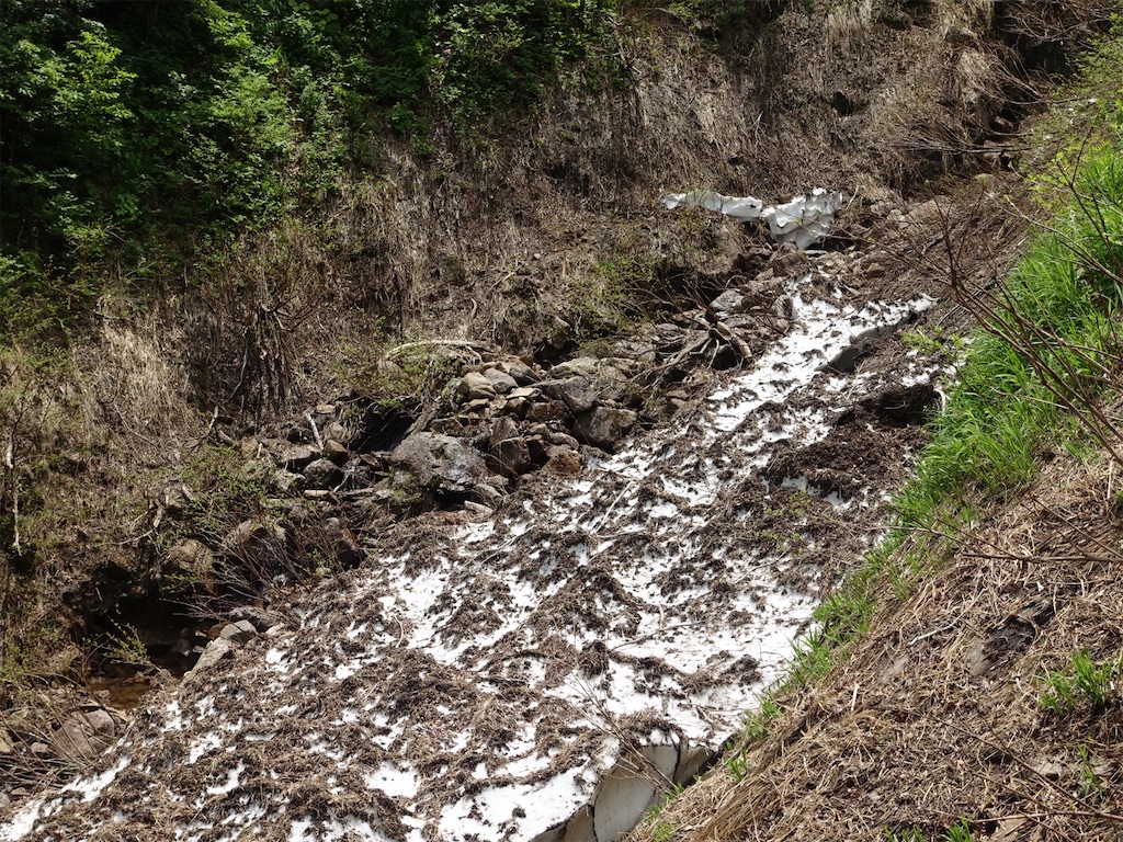 f:id:Kakuremino:20230613020752j:image f:id:Kakuremino:20230613020752j:image