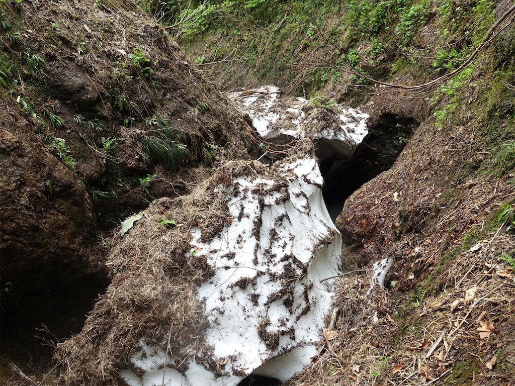 f:id:Kakuremino:20230613020758j:image f:id:Kakuremino:20230613020758j:image