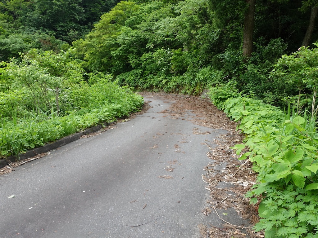 f:id:Kakuremino:20230613020801j:image f:id:Kakuremino:20230613020801j:image