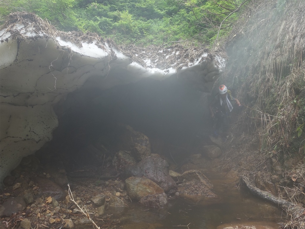 f:id:Kakuremino:20230613020805j:image f:id:Kakuremino:20230613020805j:image