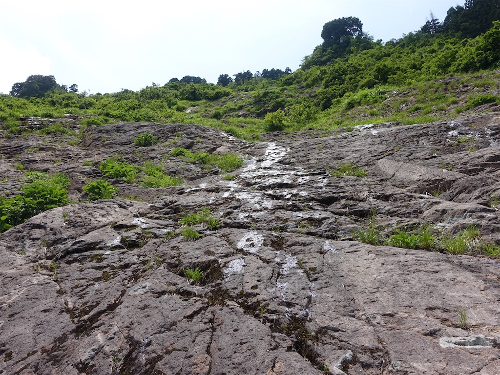 f:id:Kakuremino:20230613020818j:image f:id:Kakuremino:20230613020818j:image