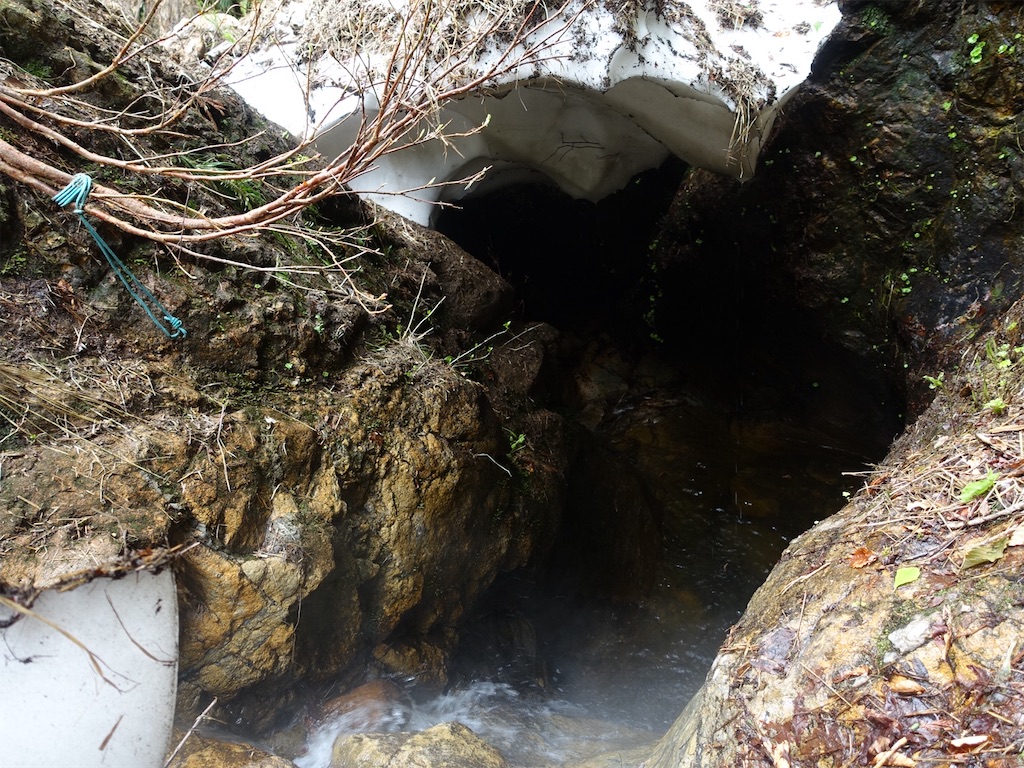 f:id:Kakuremino:20230613020836j:image f:id:Kakuremino:20230613020836j:image