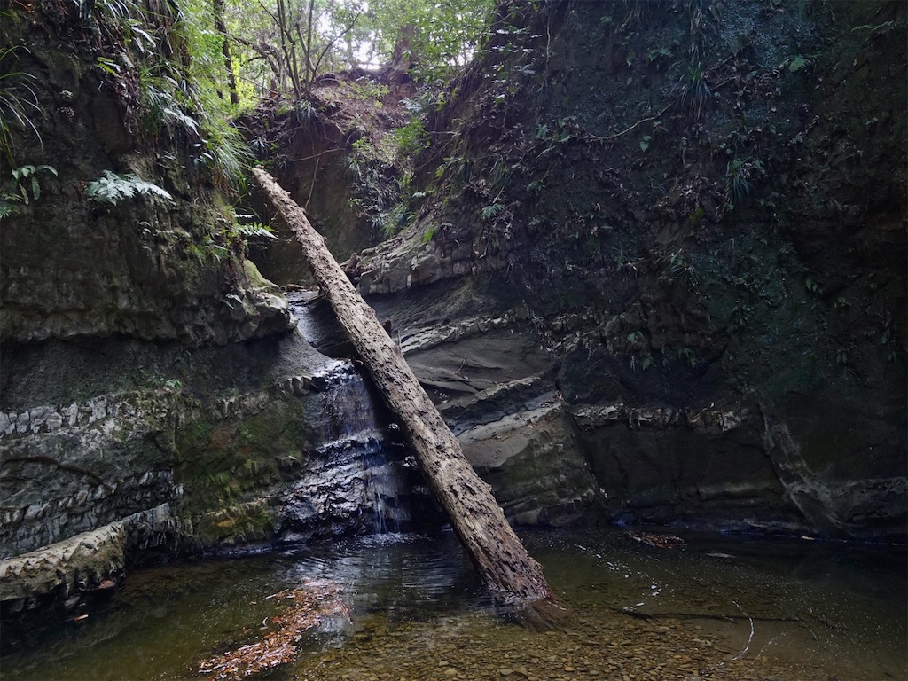 f:id:Kakuremino:20240217210802j:image