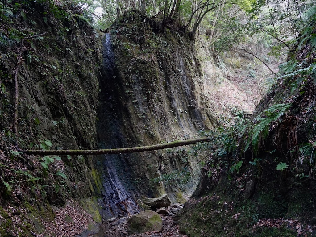 f:id:Kakuremino:20240217210806j:image