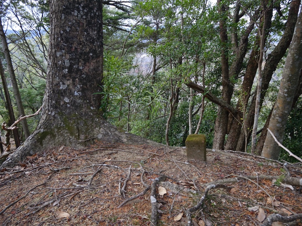 f:id:Kakuremino:20240217210809j:image