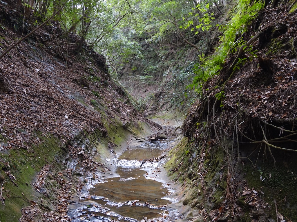 f:id:Kakuremino:20240217210812j:image