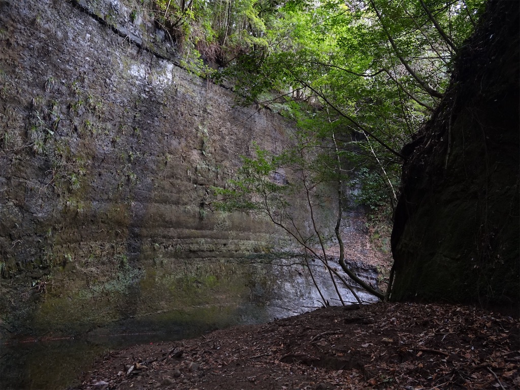 f:id:Kakuremino:20240217210816j:image