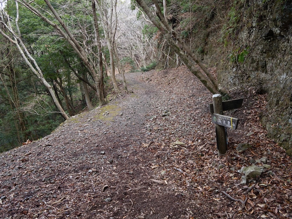 f:id:Kakuremino:20240217210820j:image