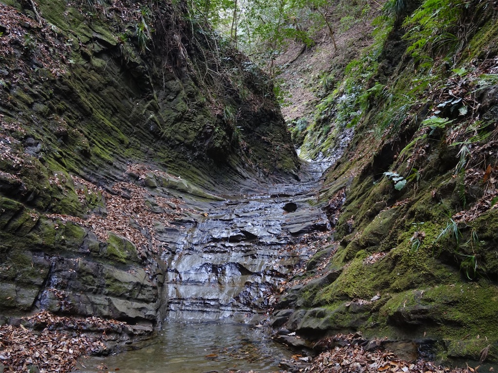 f:id:Kakuremino:20240217210823j:image