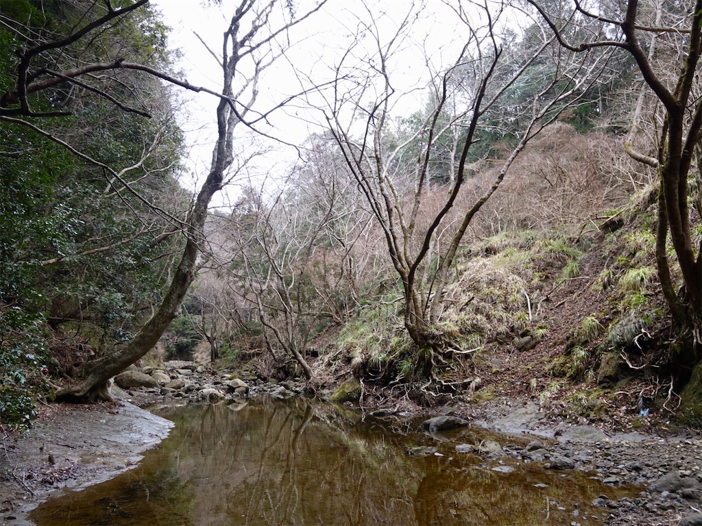 f:id:Kakuremino:20240217210838j:image