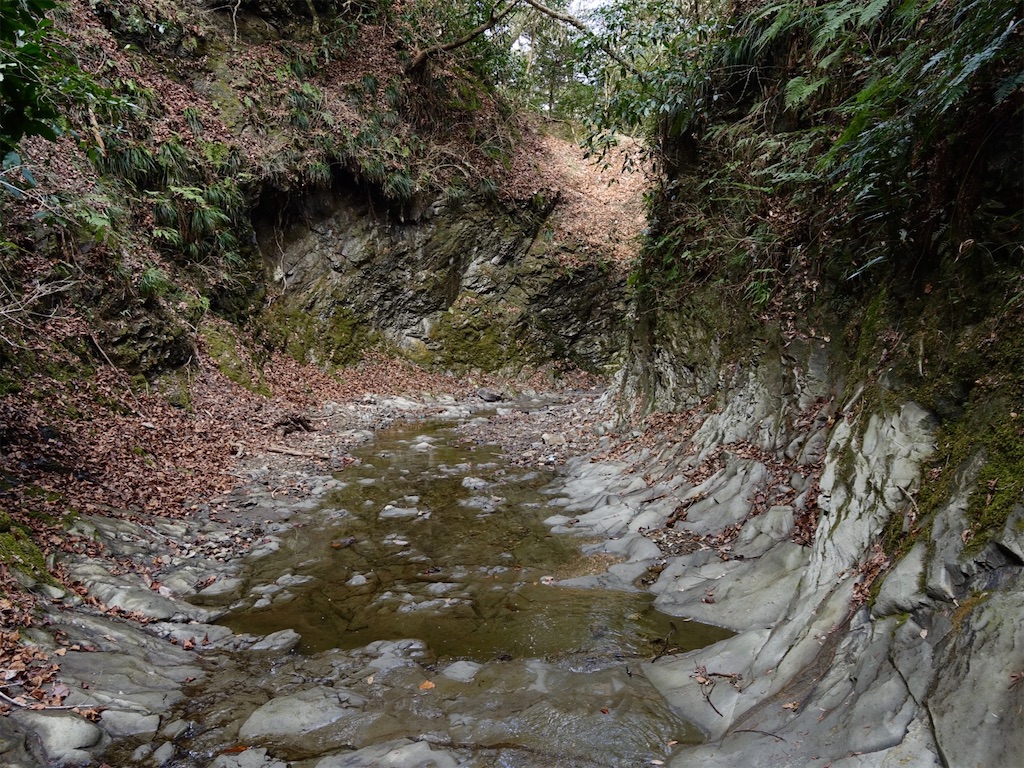 f:id:Kakuremino:20240217210841j:image