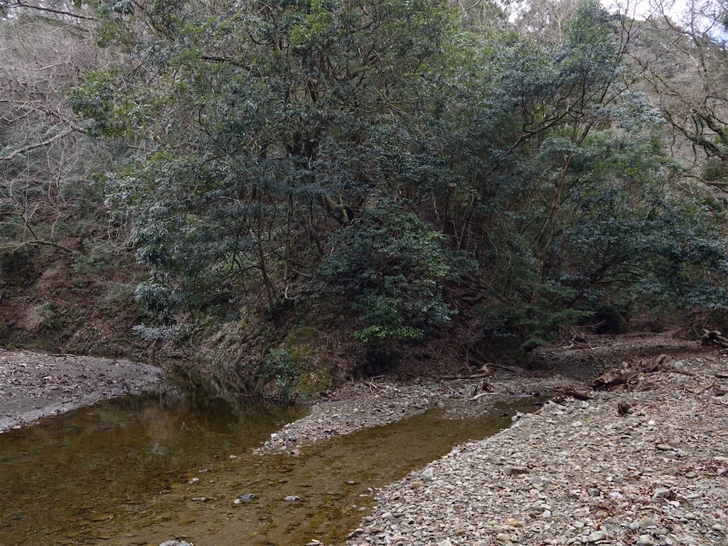 f:id:Kakuremino:20240217210901j:image