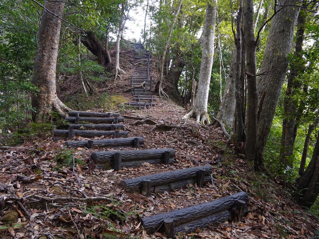 f:id:Kakuremino:20240217210913j:image