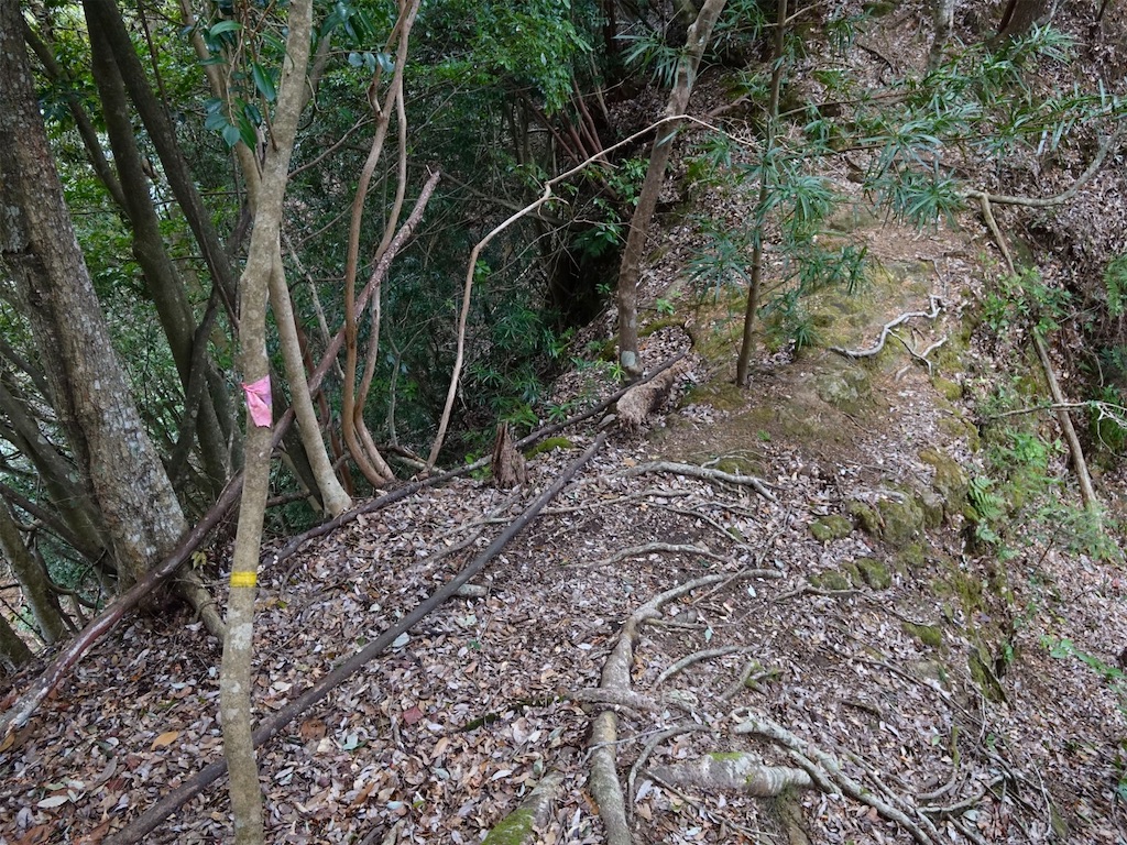 f:id:Kakuremino:20240217210924j:image