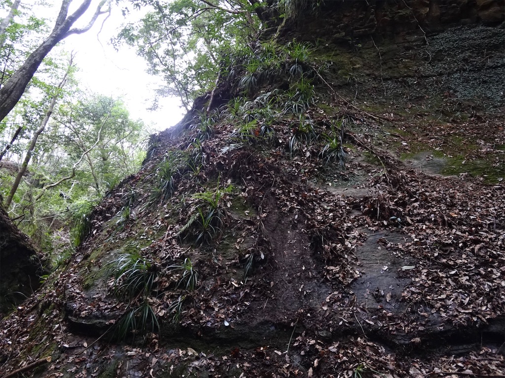 f:id:Kakuremino:20240217210939j:image