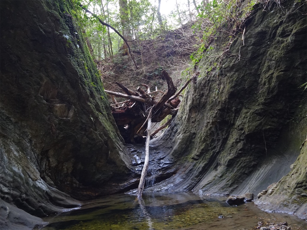 f:id:Kakuremino:20240217210942j:image