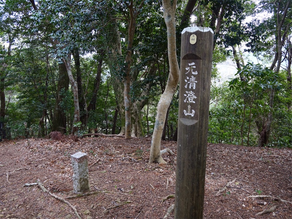 f:id:Kakuremino:20240217210946j:image