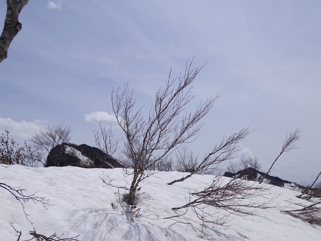 f:id:Kakuremino:20240501193841j:image