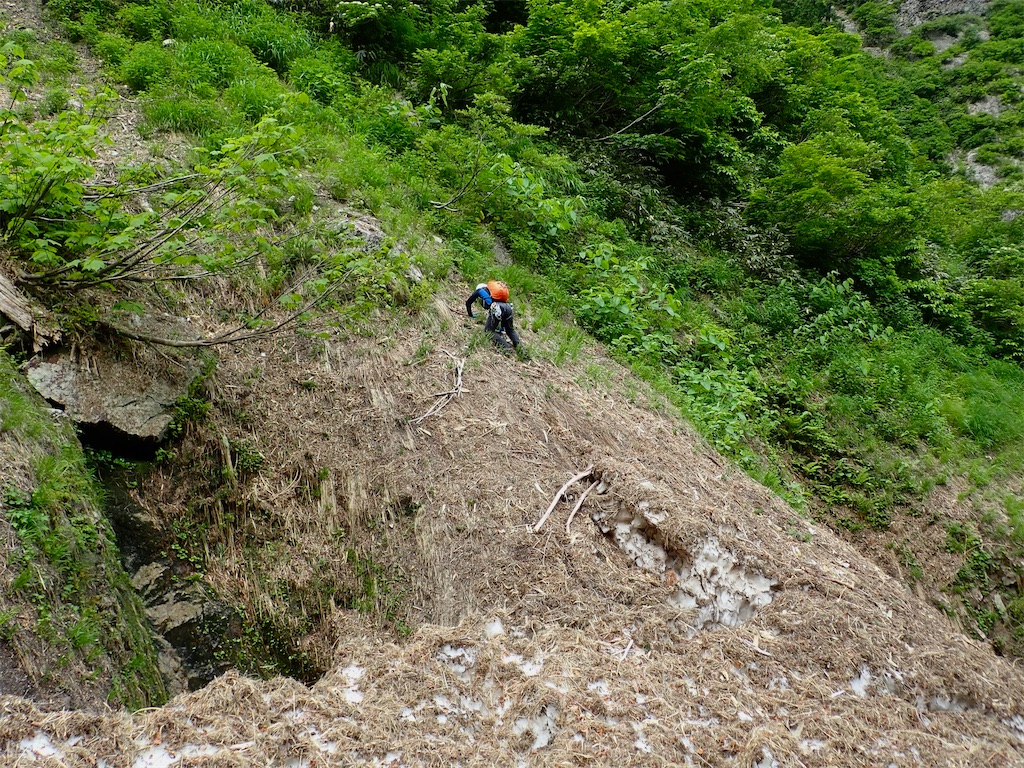 f:id:Kakuremino:20240613223848j:image