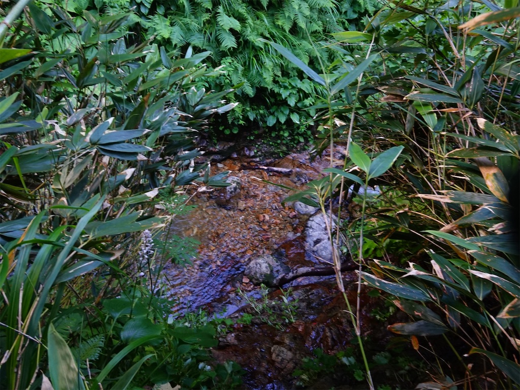 f:id:Kakuremino:20250817205232j:image f:id:Kakuremino:20250817205232j:image