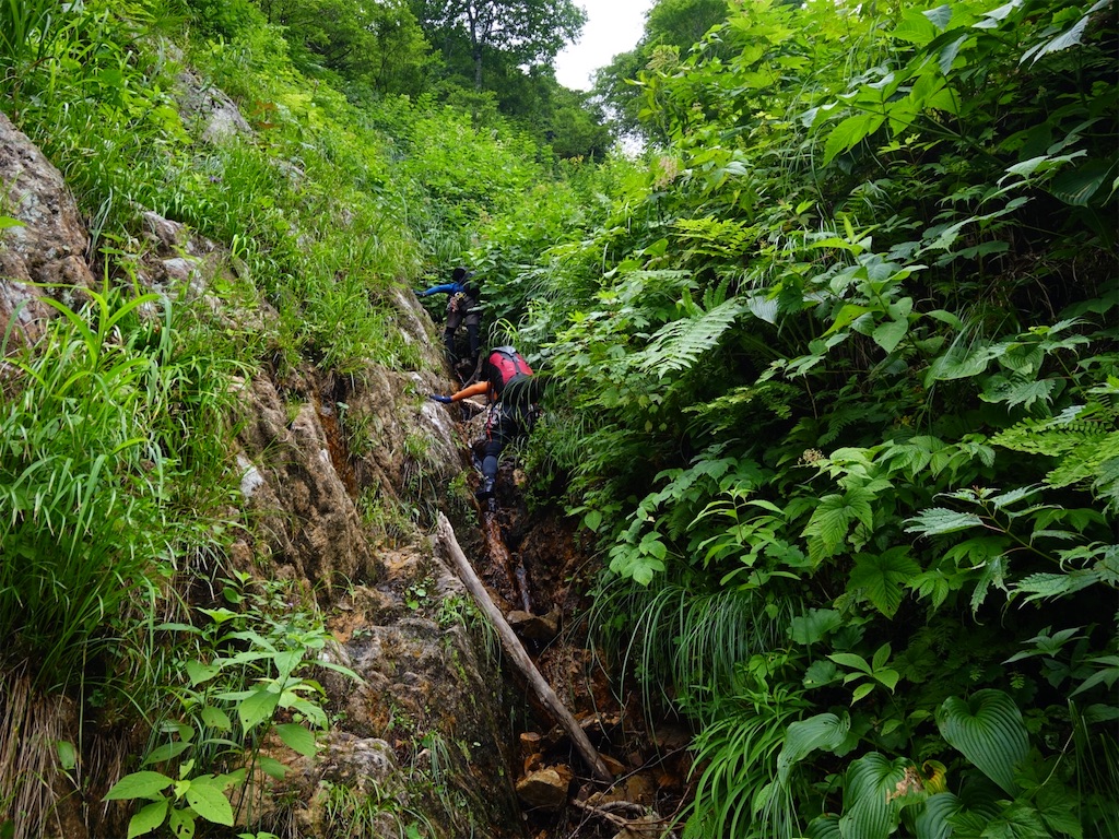 f:id:Kakuremino:20250817205300j:image f:id:Kakuremino:20250817205300j:image