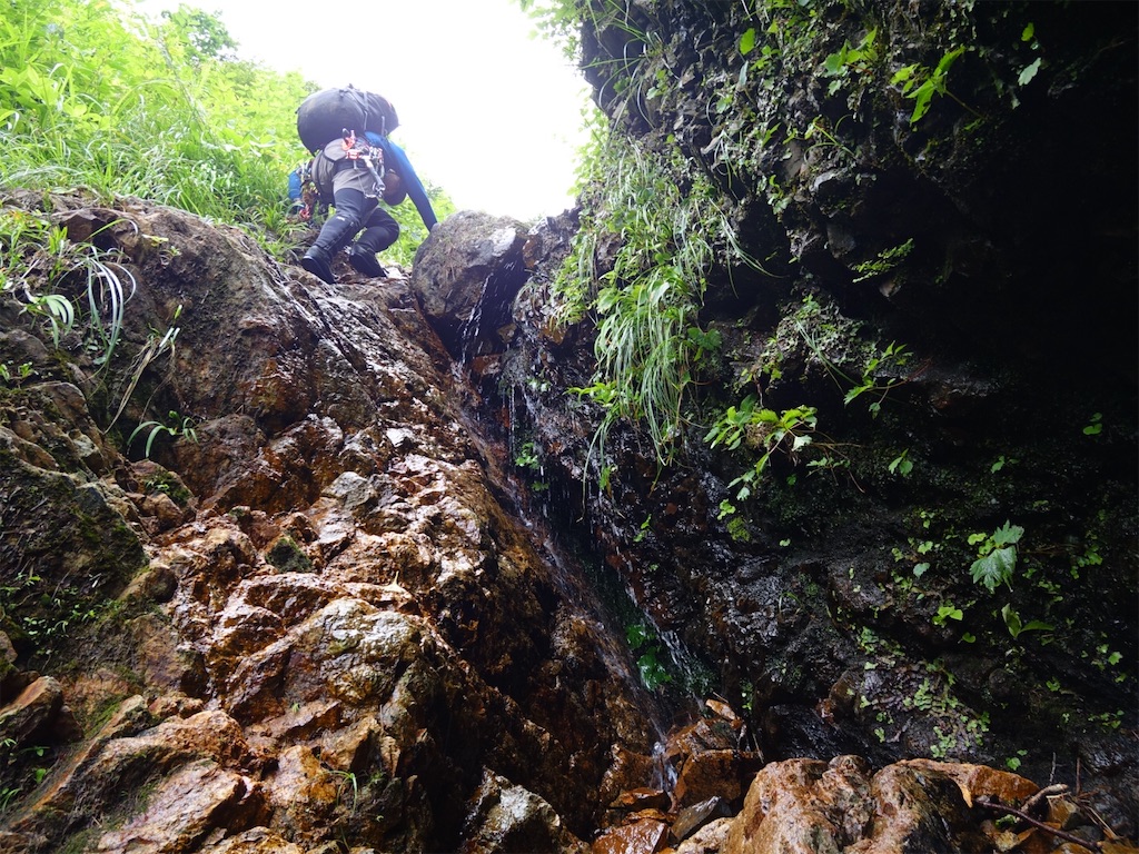 f:id:Kakuremino:20250817205331j:image f:id:Kakuremino:20250817205331j:image