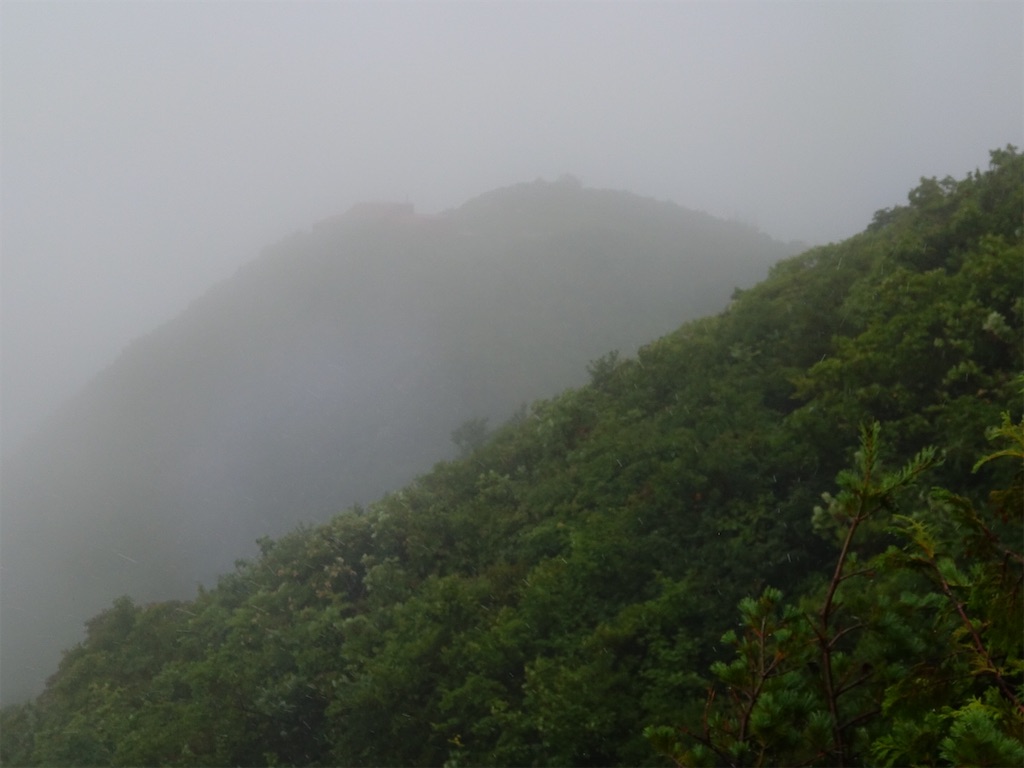 f:id:Kakuremino:20250817205338j:image f:id:Kakuremino:20250817205338j:image