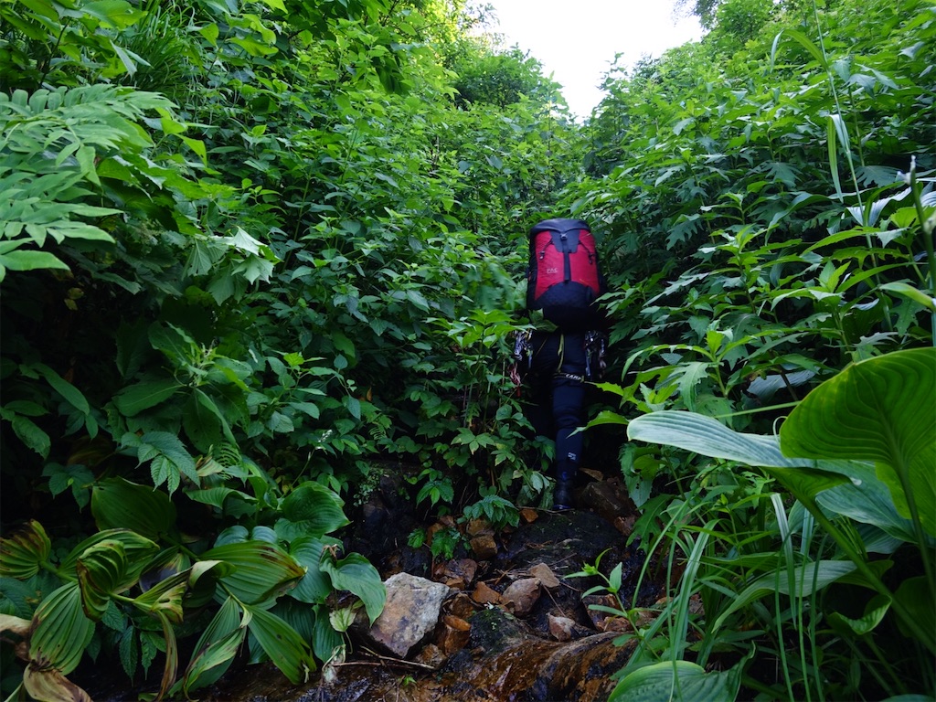 f:id:Kakuremino:20250817205345j:image f:id:Kakuremino:20250817205345j:image