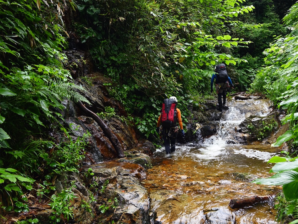 f:id:Kakuremino:20250817205404j:image f:id:Kakuremino:20250817205404j:image