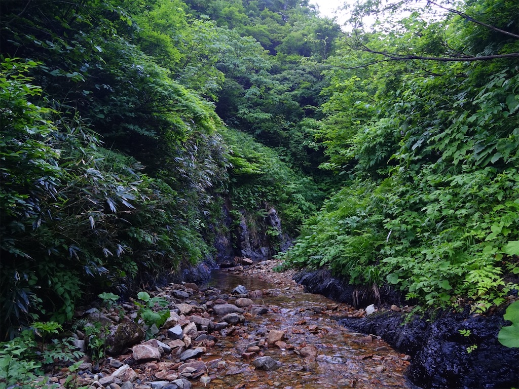 f:id:Kakuremino:20250817205433j:image f:id:Kakuremino:20250817205433j:image