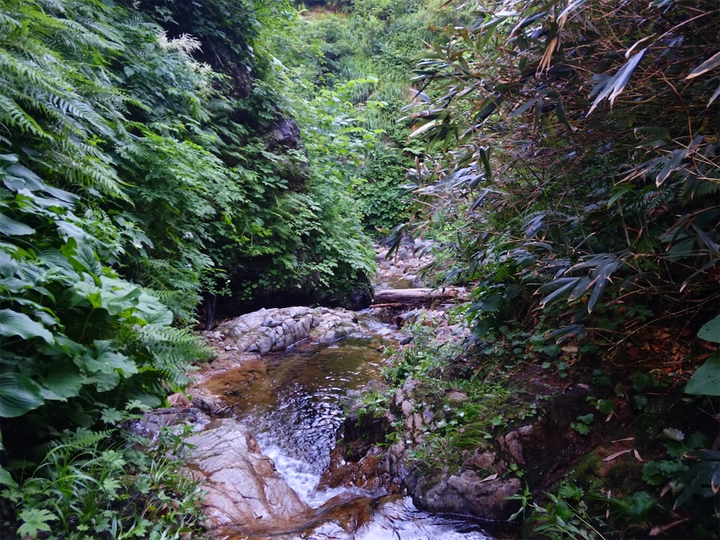 f:id:Kakuremino:20250817205443j:image f:id:Kakuremino:20250817205443j:image