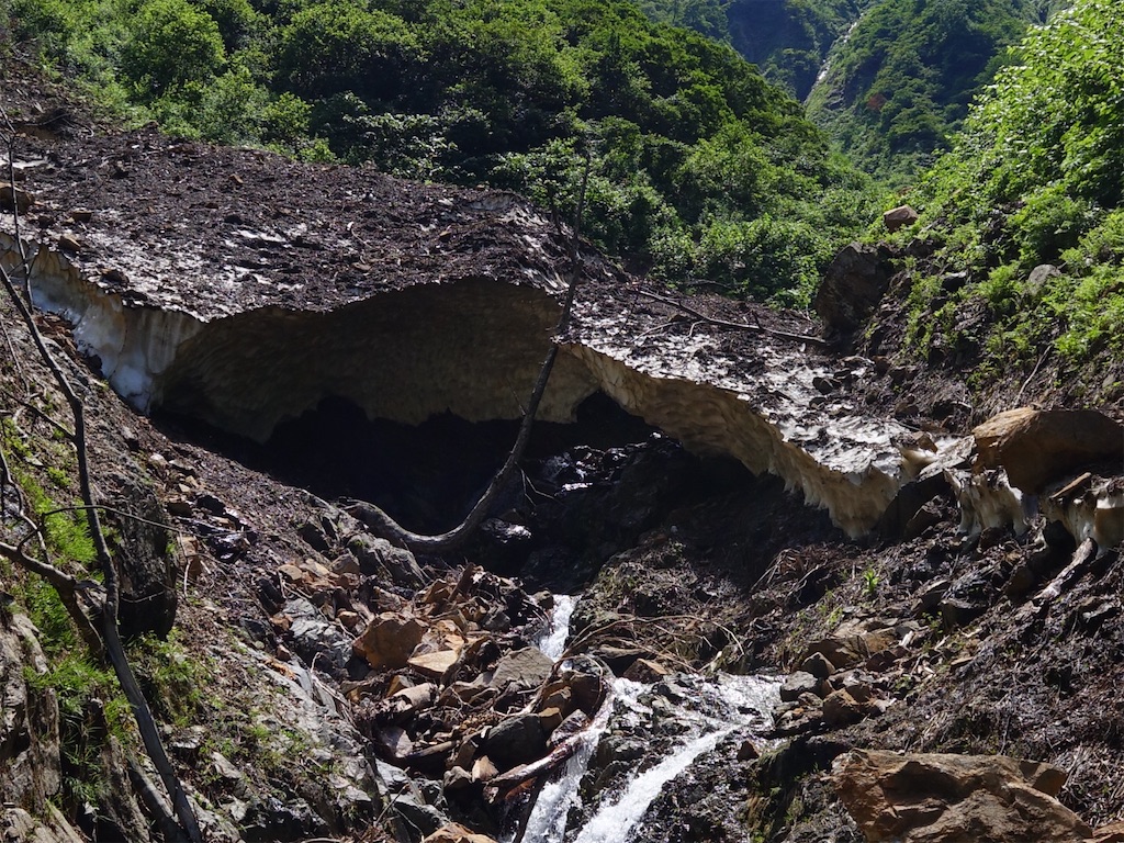 f:id:Kakuremino:20250817205447j:image f:id:Kakuremino:20250817205447j:image