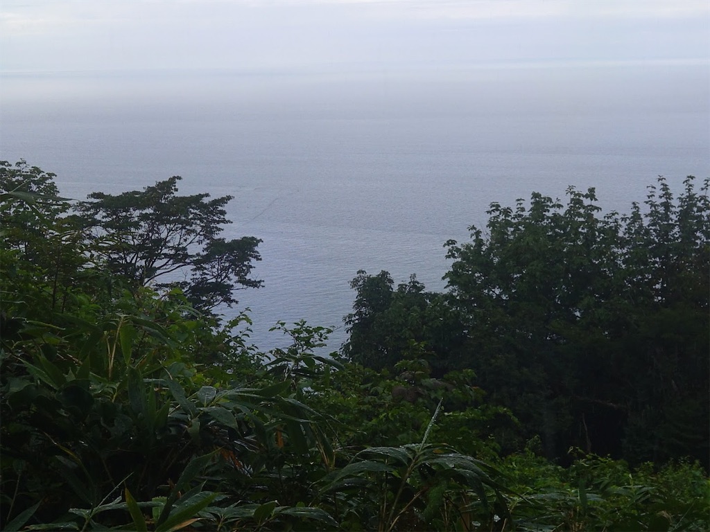 f:id:Kakuremino:20250817205523j:image f:id:Kakuremino:20250817205523j:image