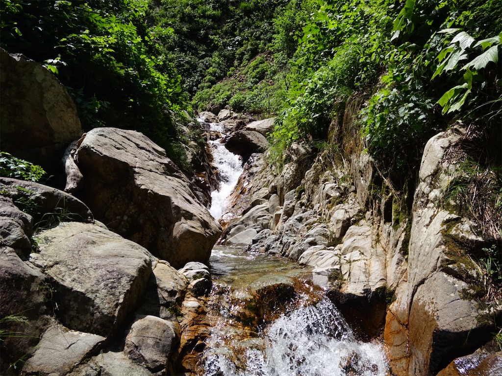 f:id:Kakuremino:20250817205531j:image f:id:Kakuremino:20250817205531j:image