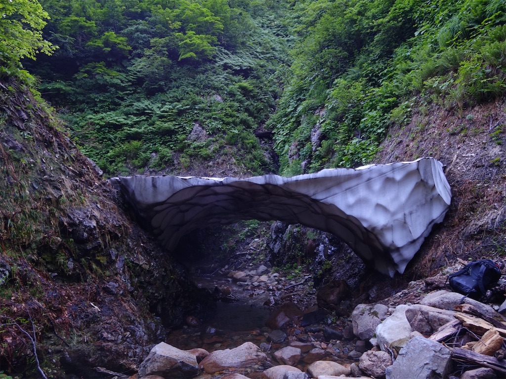 f:id:Kakuremino:20250817205534j:image f:id:Kakuremino:20250817205534j:image