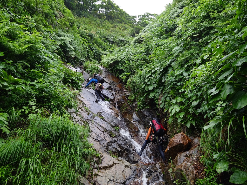 f:id:Kakuremino:20250817205546j:image f:id:Kakuremino:20250817205546j:image