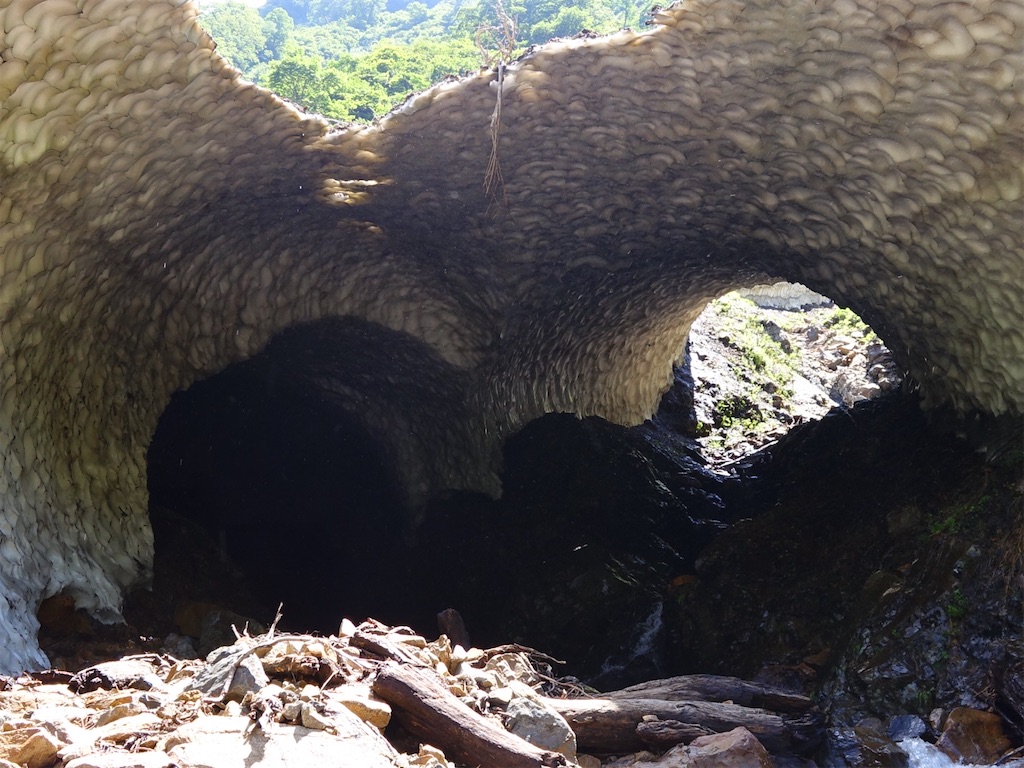 f:id:Kakuremino:20250817205549j:image f:id:Kakuremino:20250817205549j:image