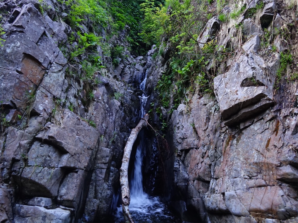 f:id:Kakuremino:20250817205557j:image f:id:Kakuremino:20250817205557j:image