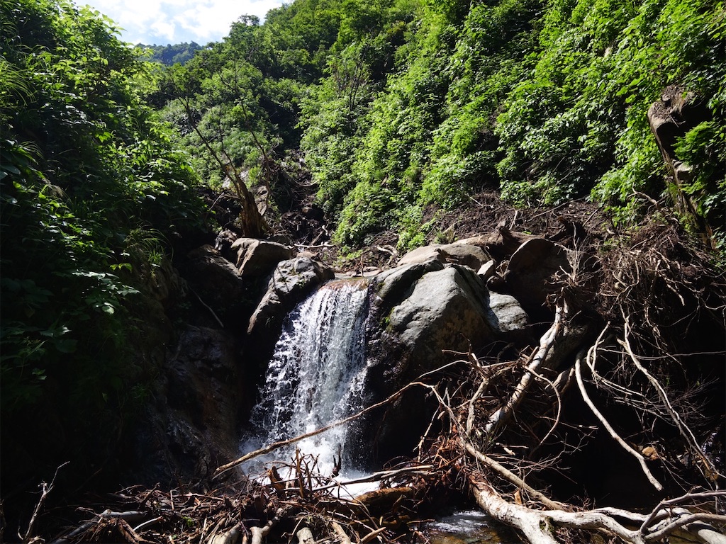 f:id:Kakuremino:20250817205604j:image f:id:Kakuremino:20250817205604j:image