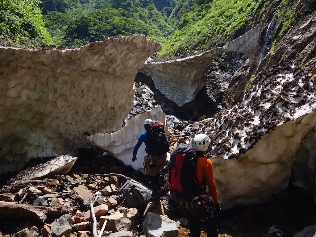 f:id:Kakuremino:20250817205608j:image f:id:Kakuremino:20250817205608j:image