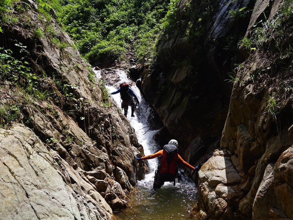 f:id:Kakuremino:20250817205612j:image f:id:Kakuremino:20250817205612j:image