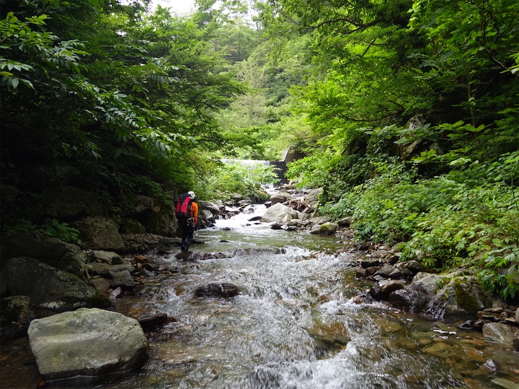 f:id:Kakuremino:20250817205615j:image f:id:Kakuremino:20250817205615j:image