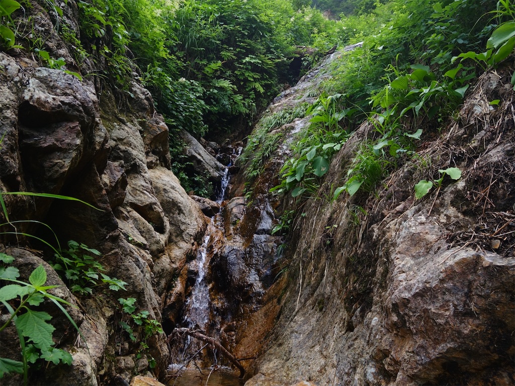 f:id:Kakuremino:20250817205622j:image f:id:Kakuremino:20250817205622j:image