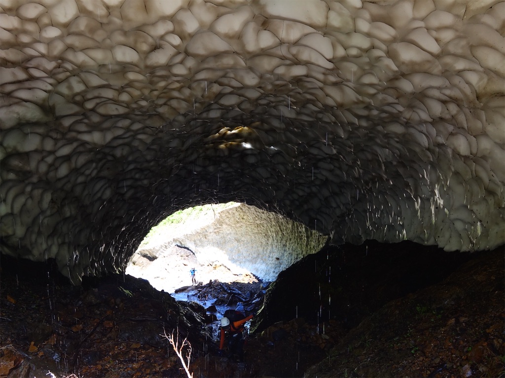 f:id:Kakuremino:20250817205625j:image f:id:Kakuremino:20250817205625j:image