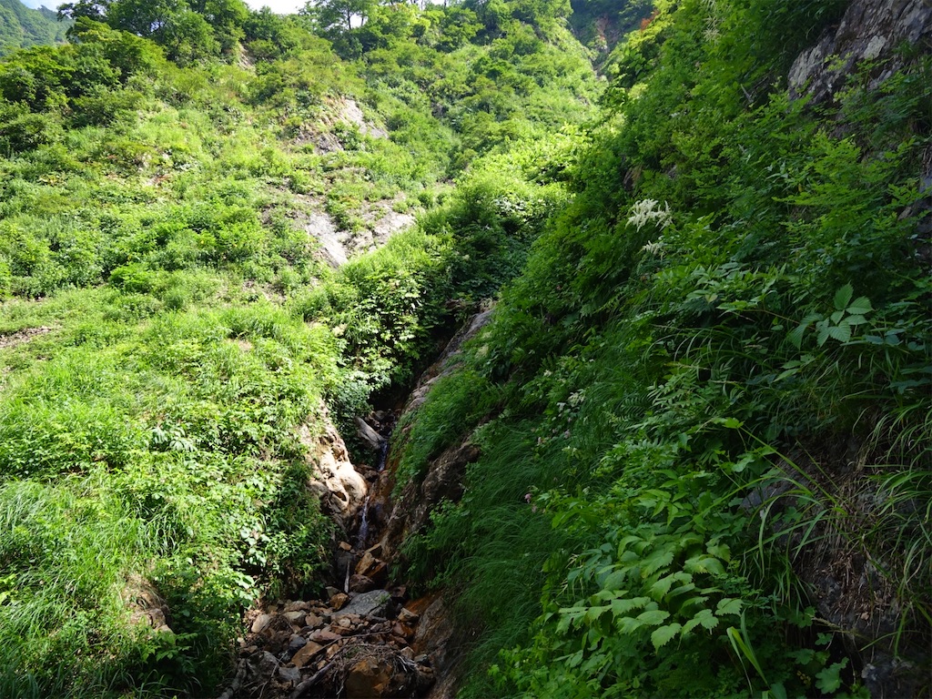 f:id:Kakuremino:20250817205635j:image f:id:Kakuremino:20250817205635j:image