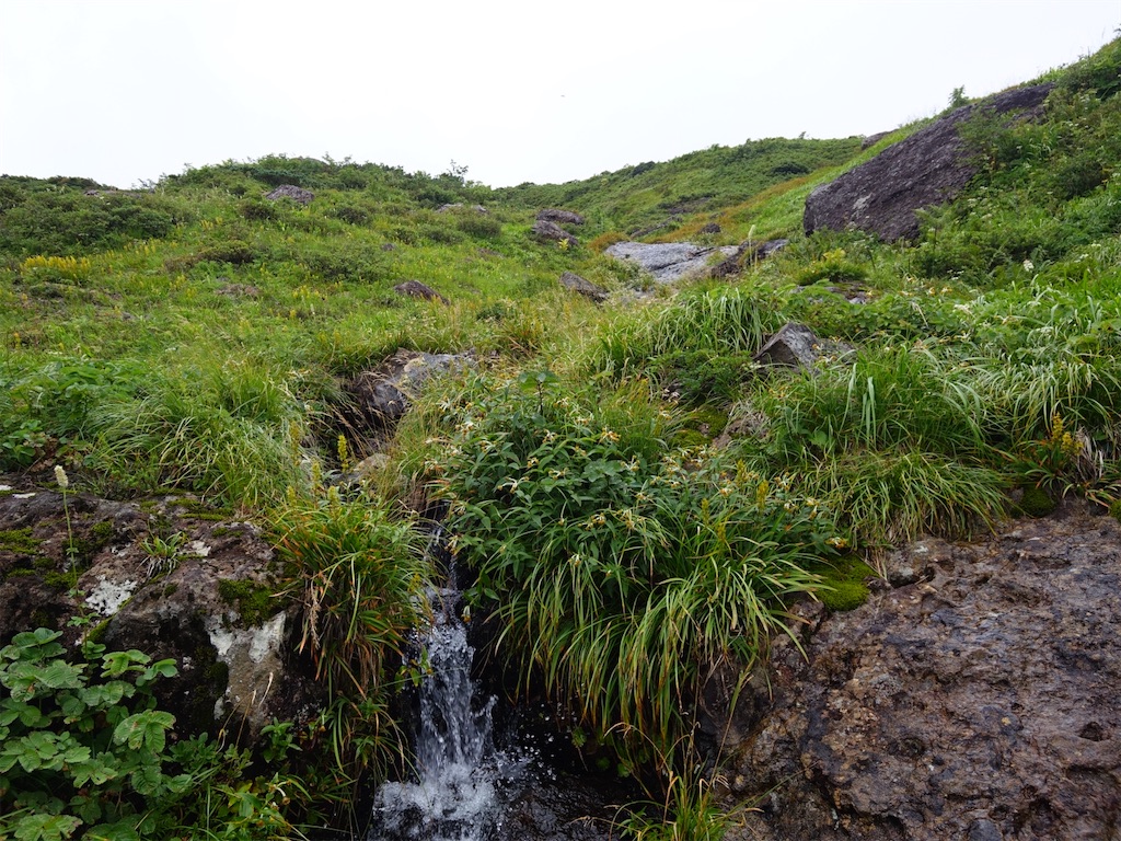 f:id:Kakuremino:20250919231739j:image f:id:Kakuremino:20250919231739j:image