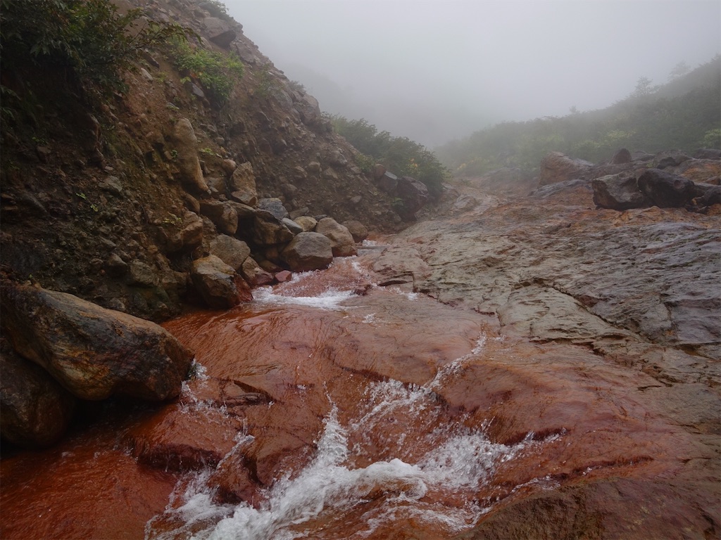 f:id:Kakuremino:20250919231854j:image f:id:Kakuremino:20250919231854j:image